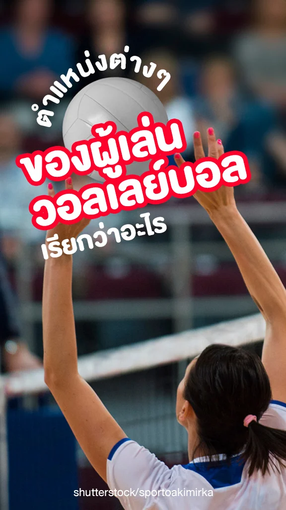 ตำแหน่งต่างๆ ของผู้เล่นวอลเลย์บอล