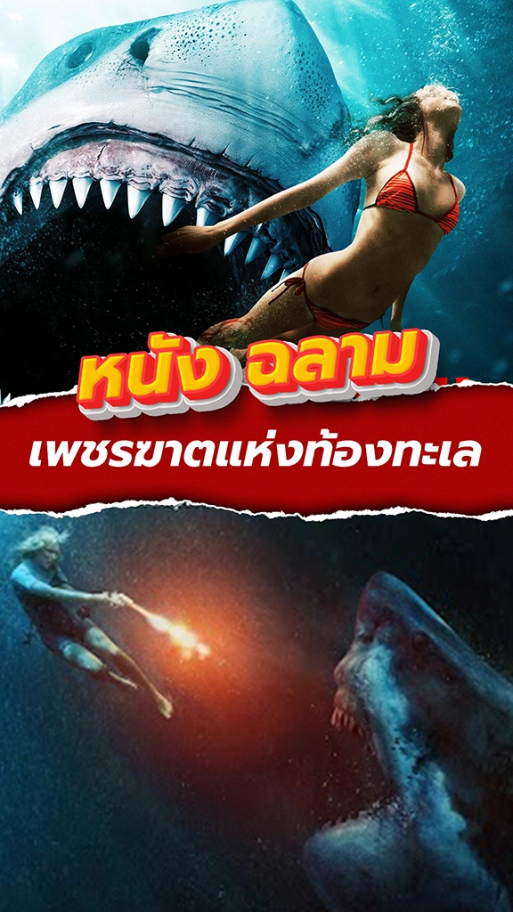 ฉลาม เพชรฆาตแห่งท้องทะเล