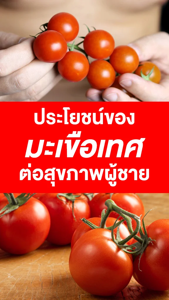 ประโยชน์จากมะเขือเทศที่ดีต่อผู้ชาย