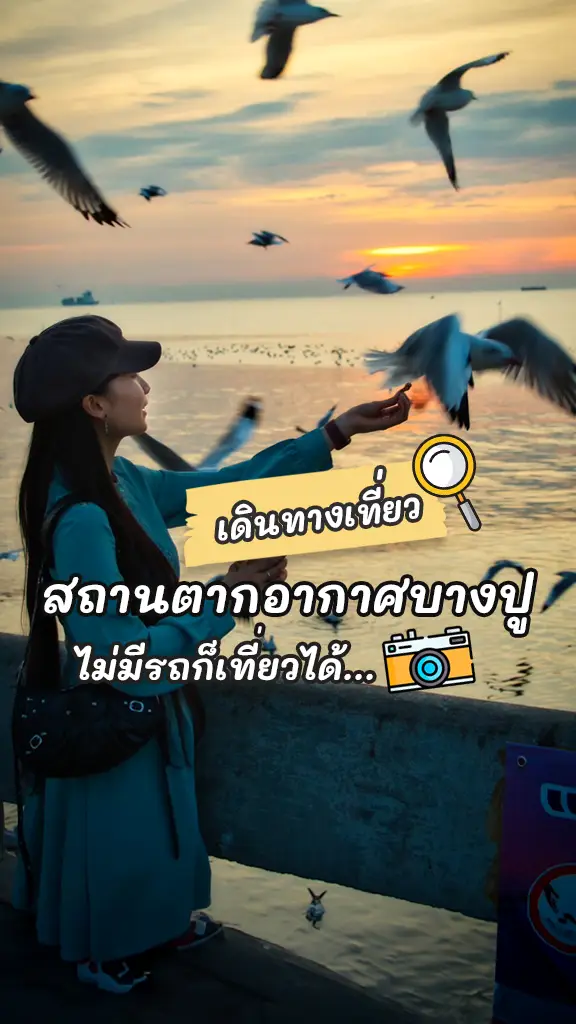 การเดินทางไป บางปู ให้อาหารนกนางนวล แบบไม่มีรถส่วนตัว