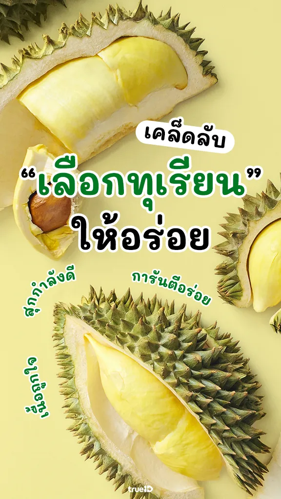 วิธีเลือกทุเรียน ให้อร่อย เนื้อดี ไม่มีผิดหวัง