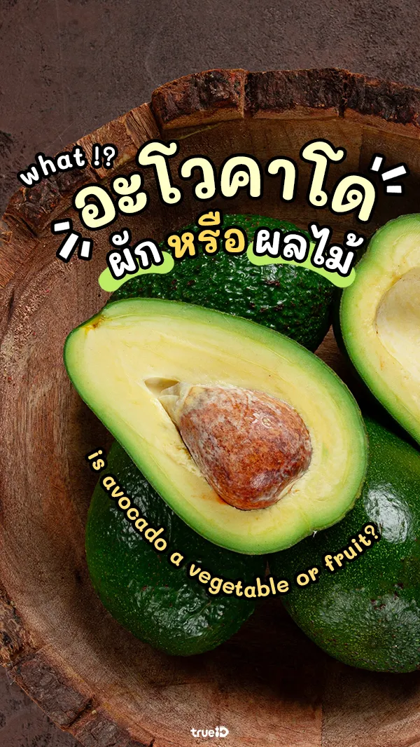 อะโวคาโดเป็นผักหรือผลไม้ มาหาคำตอบกัน!