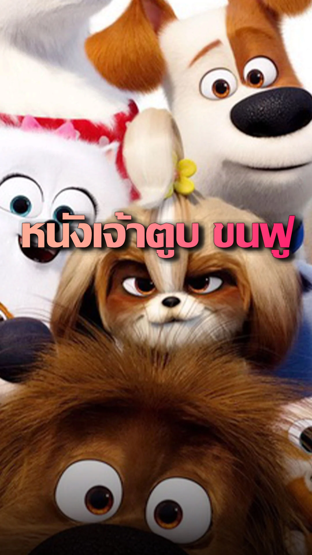 รวมหนังแอนิเมชันดูเพลิน แก๊งเจ้าตูบ นำทีมป่วน