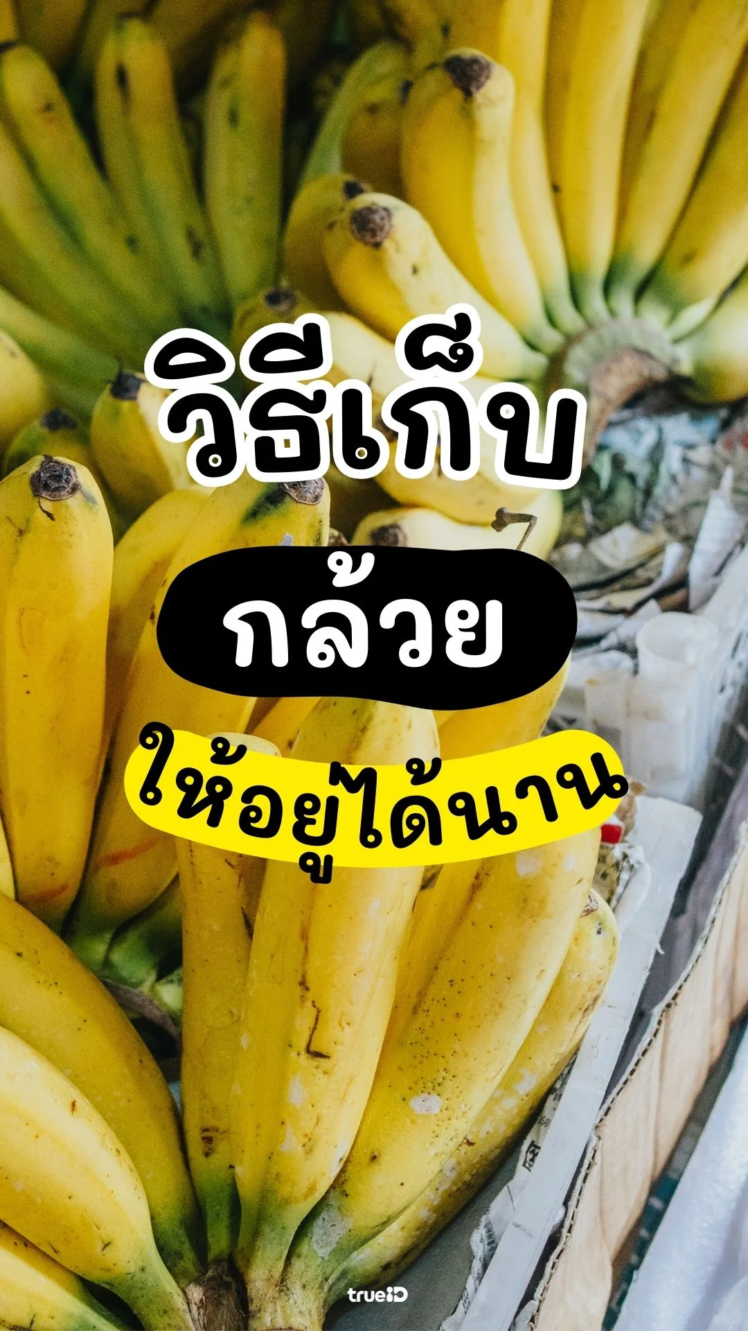 วิธีเก็บกล้วย ให้อยู่ได้นาน ไม่สุกงอมเร็ว