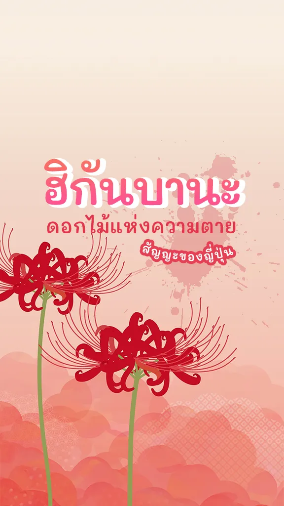 ฮิกันบานะ ดอกไม้แห่งความตาย สัญญะของญี่ปุ่น