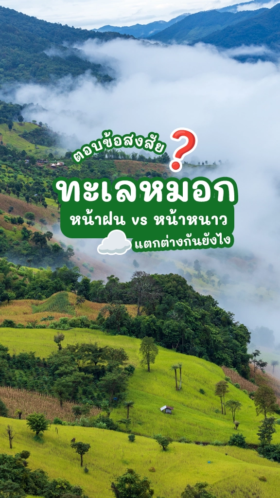 ทะเลหมอก หน้าฝน VS ทะเลหมอก หน้าหนาว ต่างกันยังไง?