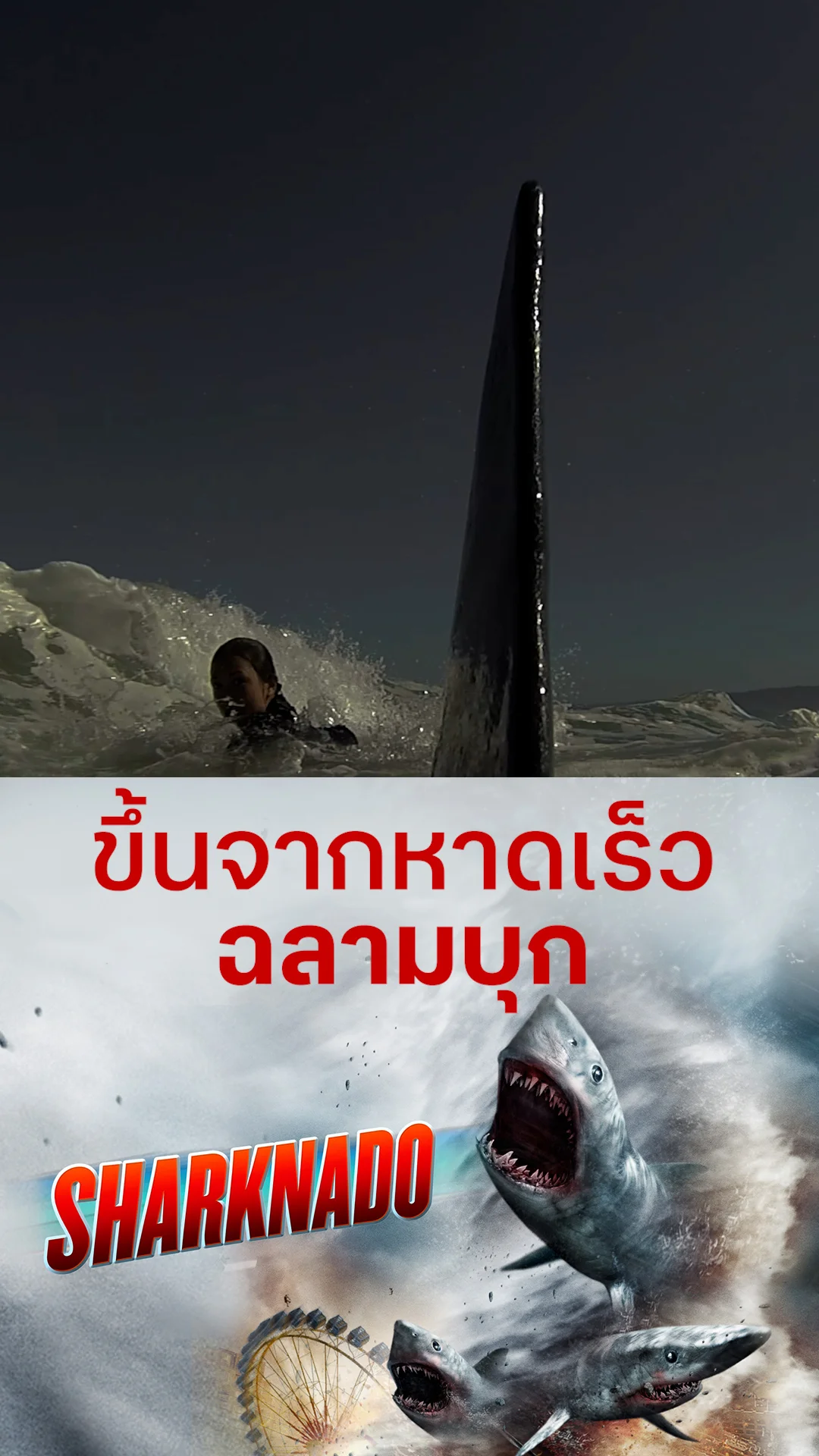 หนัง Sharknado ฝูงฉลามทอร์นาโด ขึ้นจากหาดเร็ว ฉลามบุก