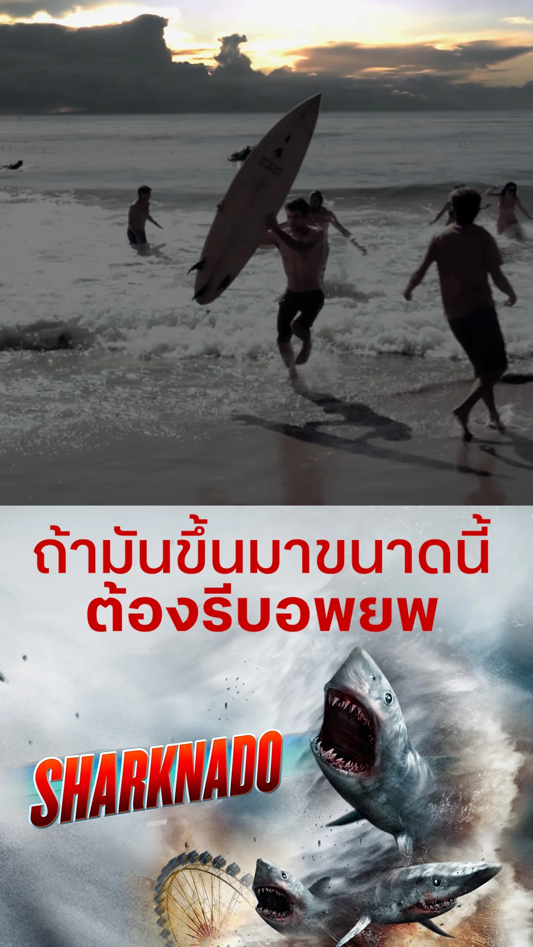 หนัง Sharknado ฝูงฉลามทอร์นาโด ถ้ามันขึ้นมาขนาดนี้ ต้องรีบอพยพ