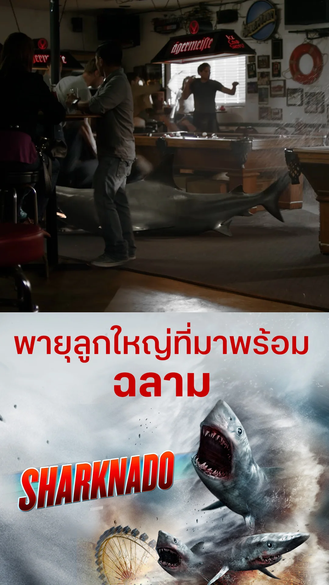 หนัง Sharknado ฝูงฉลามทอร์นาโด พายุลูกใหญ่ที่มาพร้อม ฉลาม