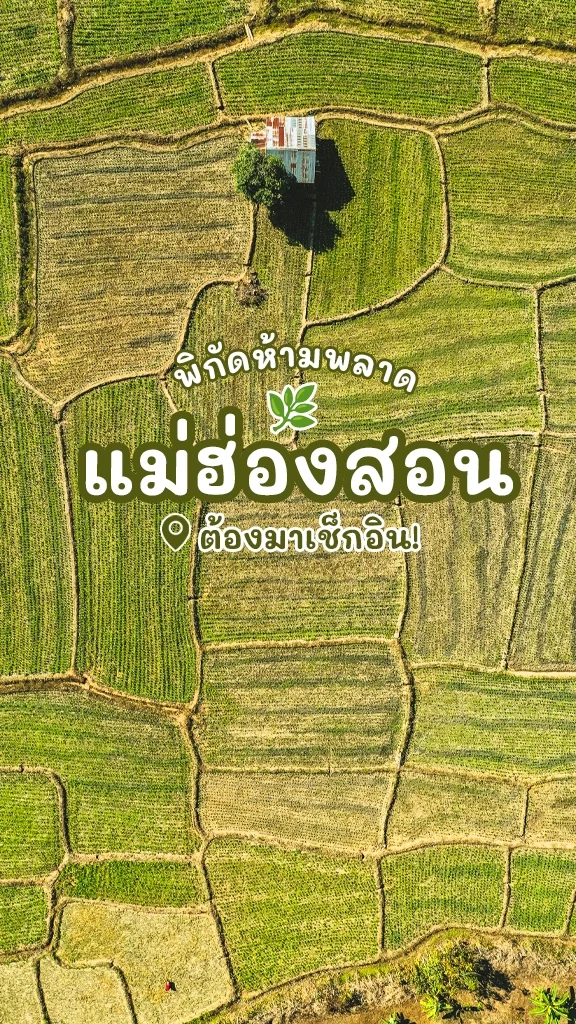 ที่เที่ยวแม่ฮ่องสอน หน้าหนาว สายต่อนยอน ต้องเช็กอิน