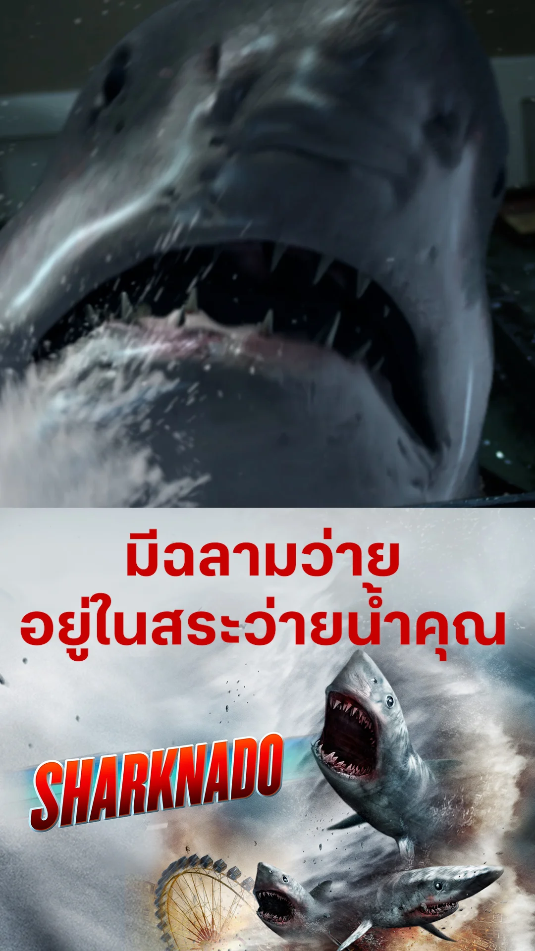 หนัง Sharknado ฝูงฉลามทอร์นาโด มีฉลามว่ายอยู่ในสระว่ายน้ำคุณ