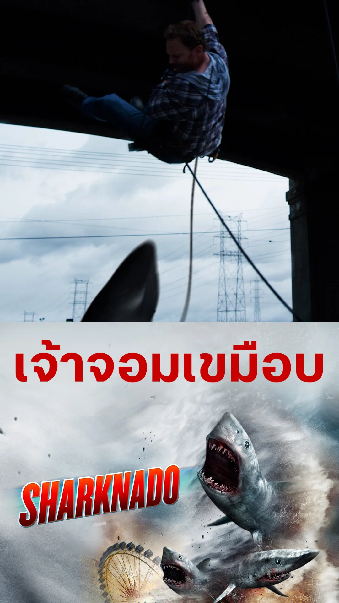 หนัง Sharknado ฝูงฉลามทอร์นาโด เจ้าจอมเขมือบ