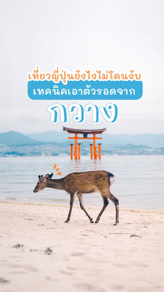 วิธีเอาตัวรอดจากกวาง เที่ยวยังไง ไม่ให้โดนกวางงับ