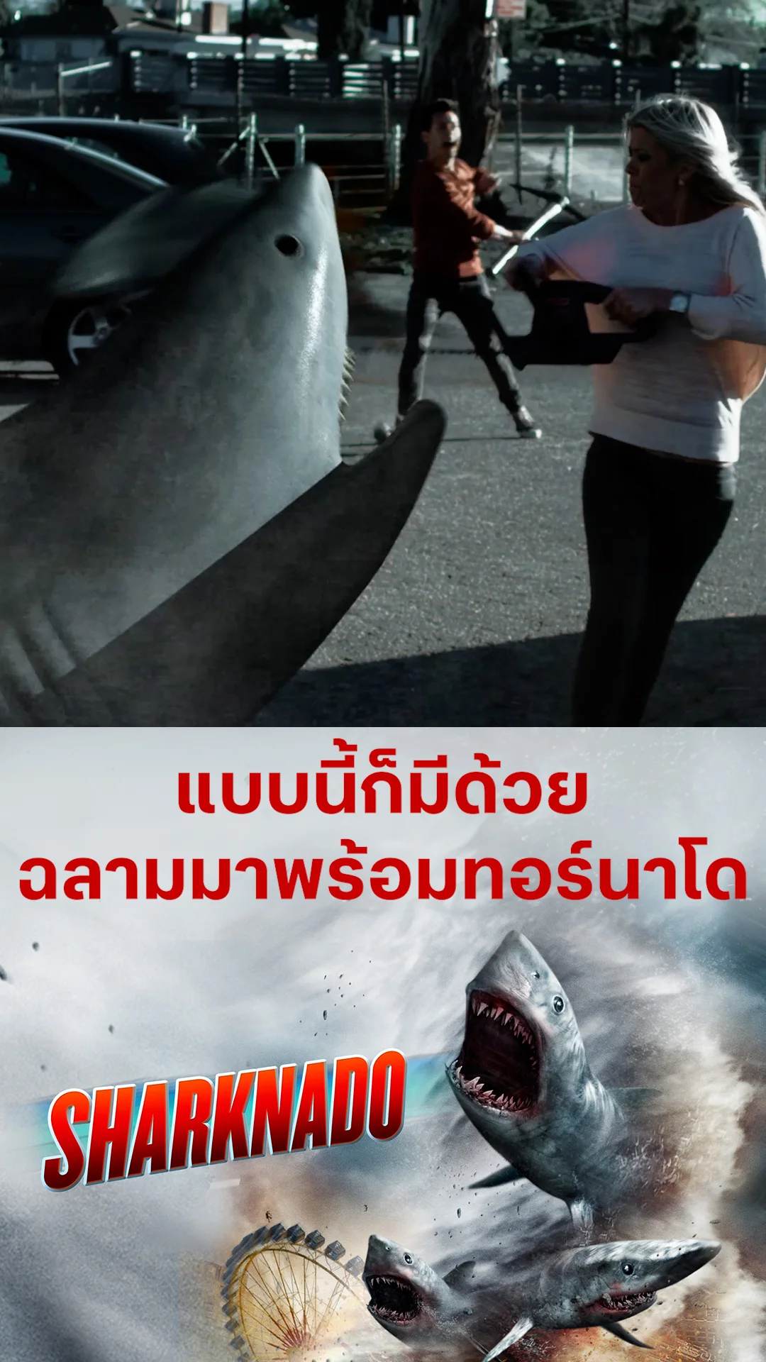 หนัง Sharknado ฝูงฉลามทอร์นาโด แบบนี้ก็มีด้วย ฉลามมาพร้อมทอร์นาโด