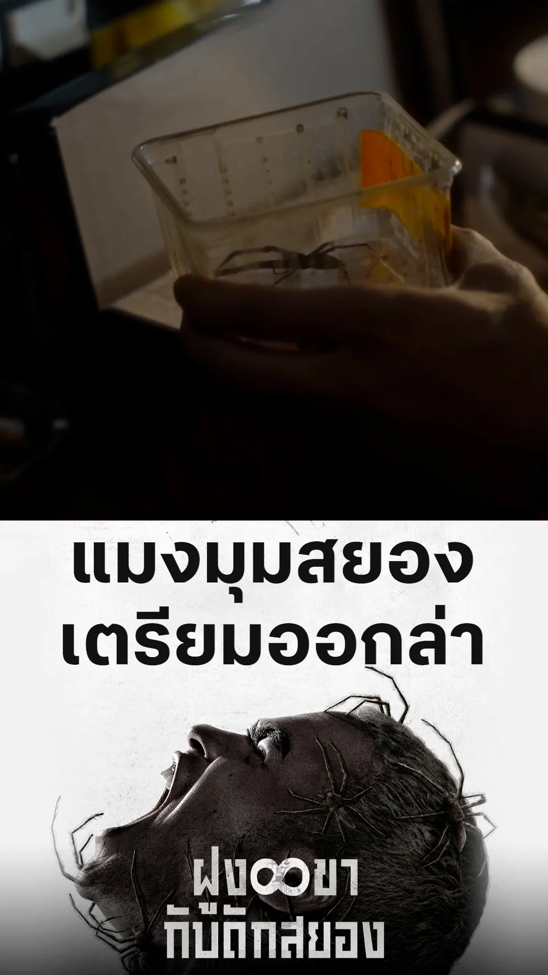 ตัวอย่างภาพยนตร์ ที่2 Infested ฝูง 8 ขากับดักสยอง