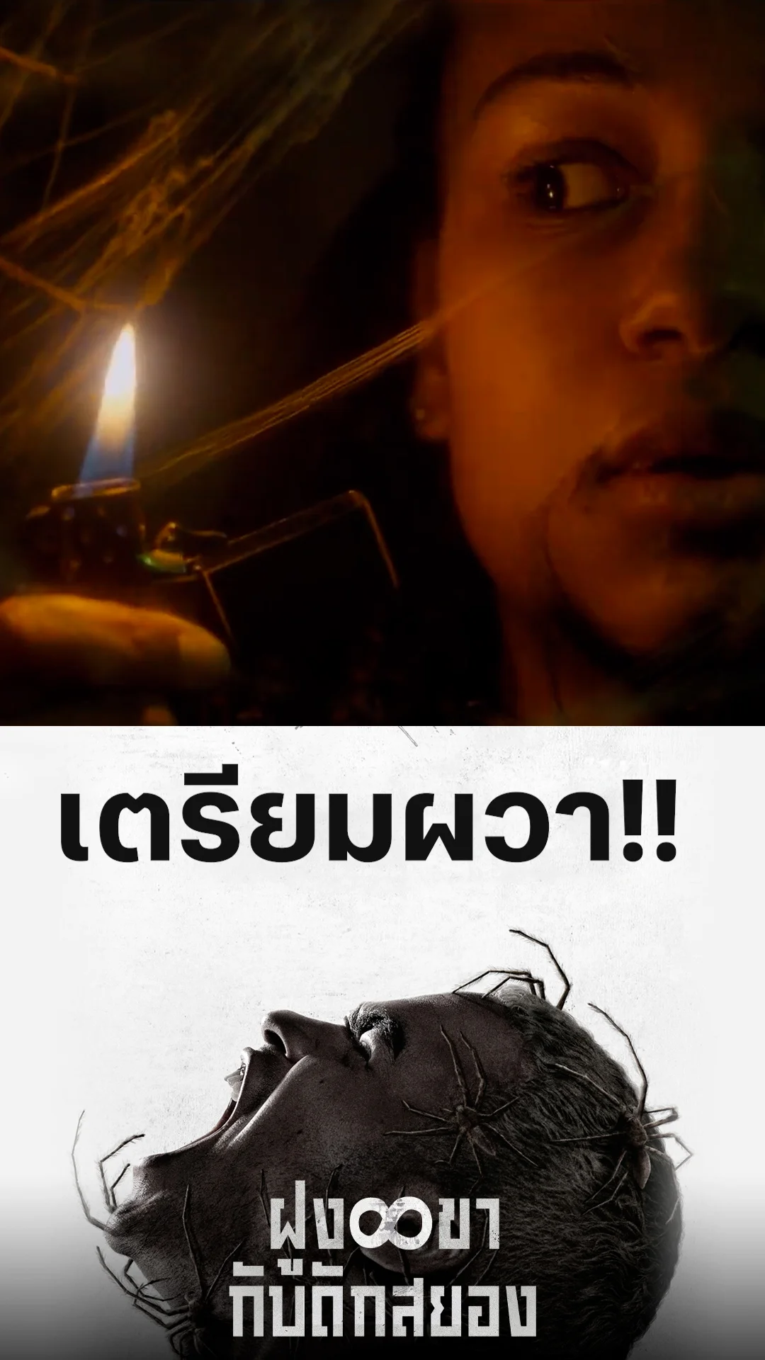 ตัวอย่างภาพยนตร์ Infested ฝูง 8 ขากับดักสยอง