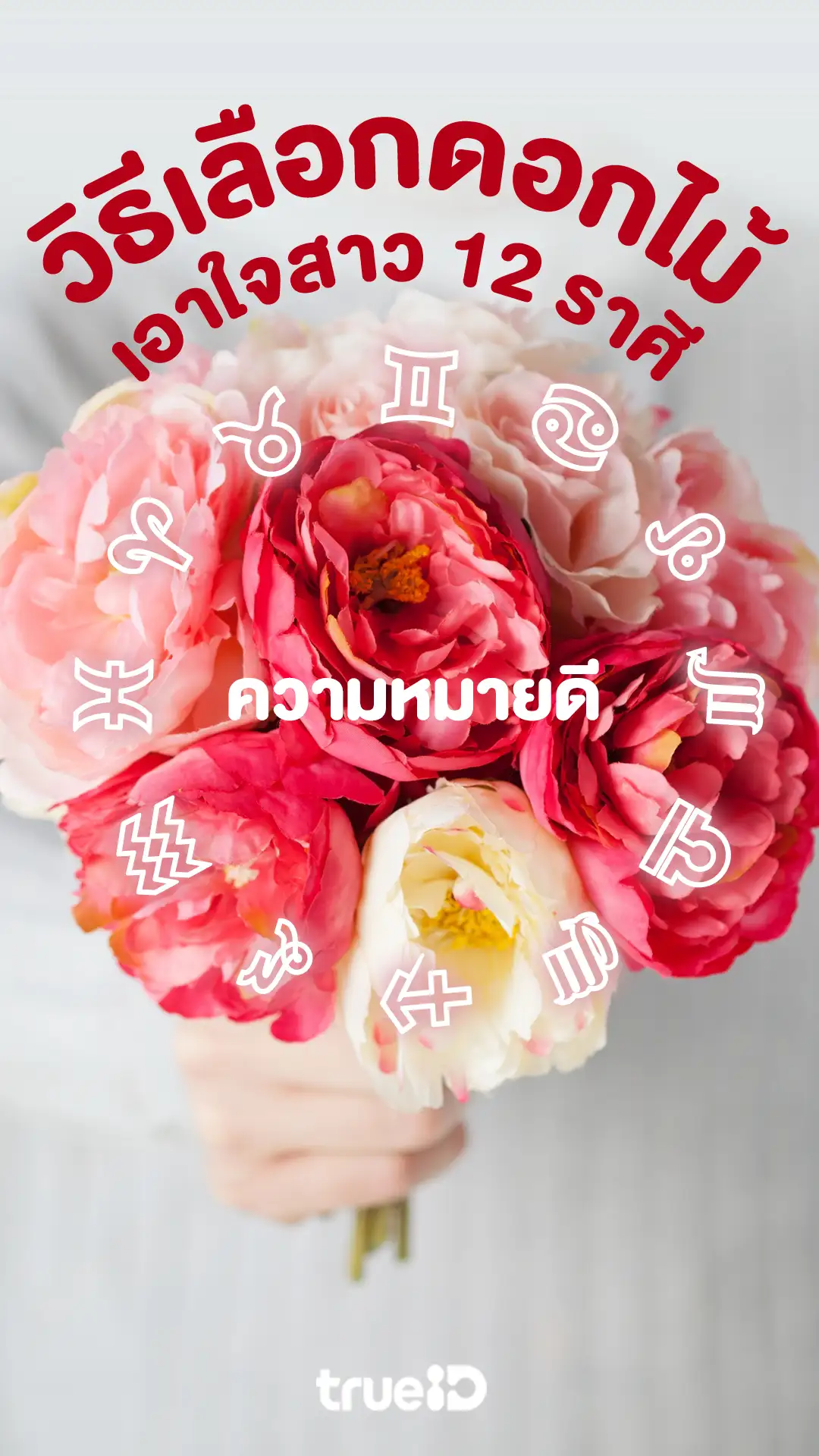 วิธีเลือกดอกไม้เอาใจสาว 12 ราศี ความหมายดี จีบสาวแบบมีชั้นเชิง