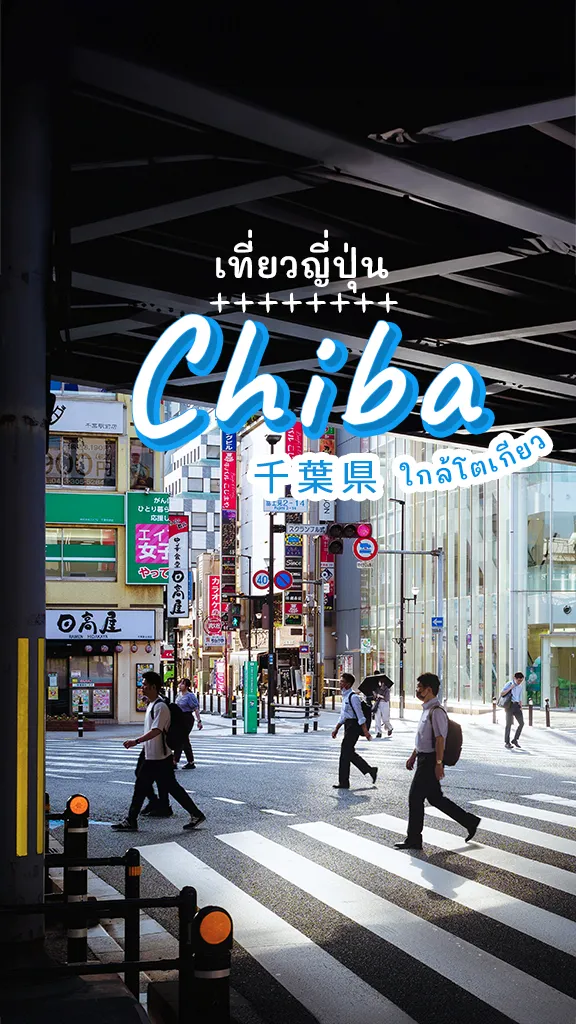 ที่เที่ยวชิบะ เที่ยวใกล้โตเกียว เมืองรอง เที่ยวง่ายๆ