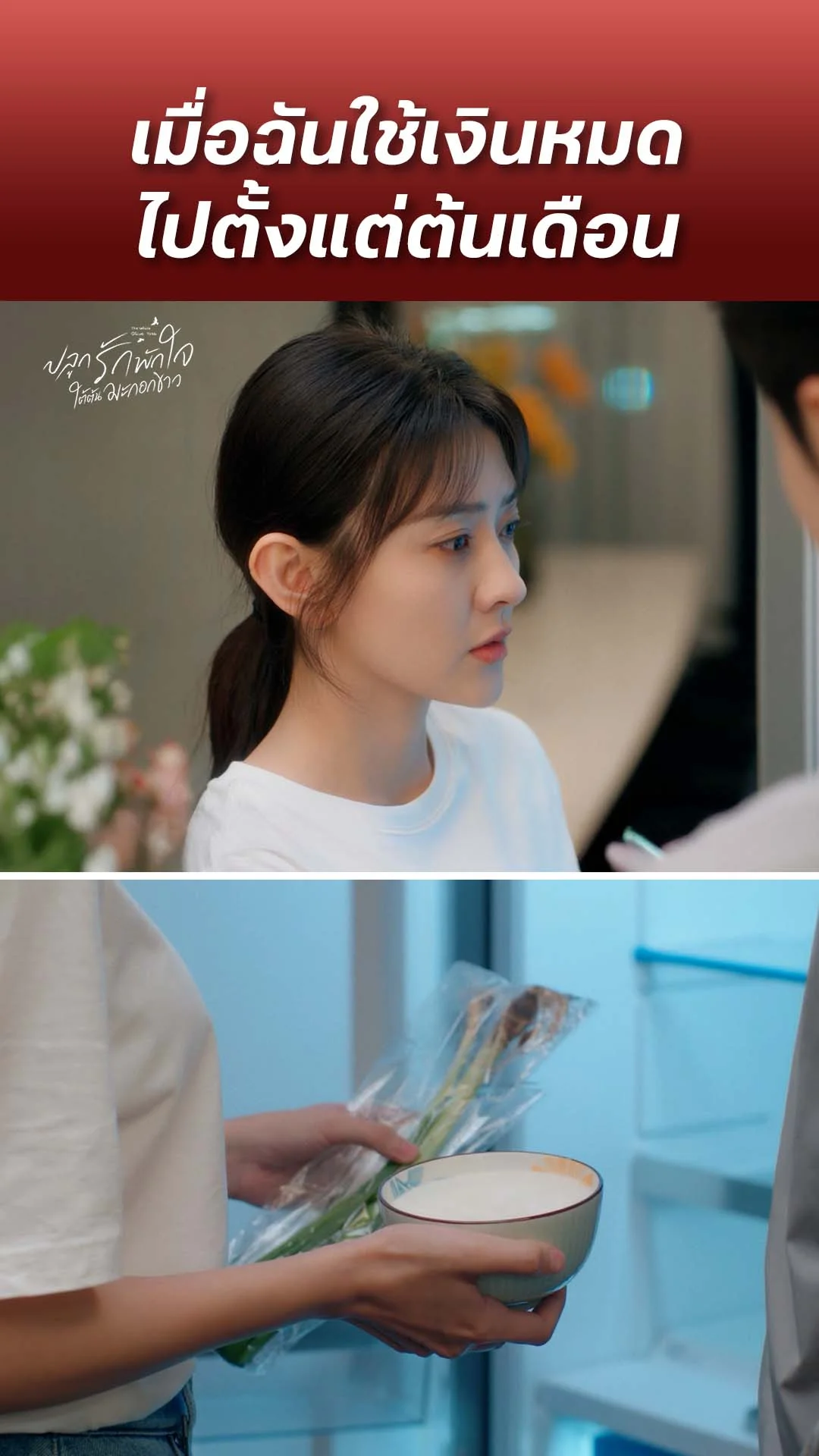 ปลูกรักพักใจ ใต้ต้นมะกอกขาว EP.24 : เมื่อเงินเดือนหมดตั้งแต่วันแรก