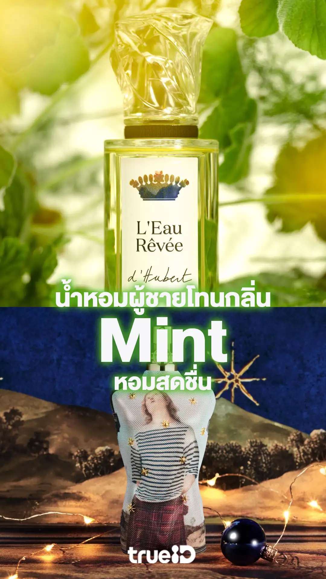 รวมน้ำหอมผู้ชายกลิ่นมินต์ ยี่ห้อไหนดีหอมสดชื่นชวนหลง ราคาเท่าไหร่