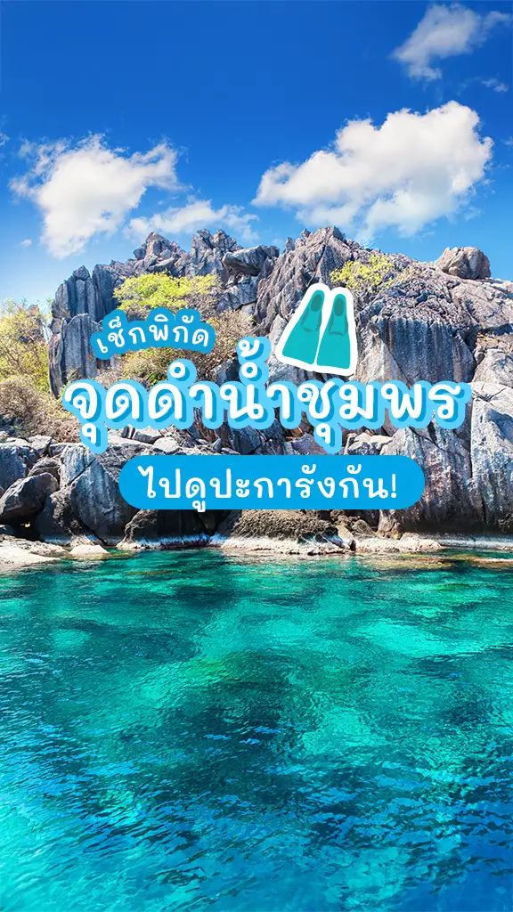 เปิดวาร์ป ที่ดำน้ำ เกาะสวยๆ จุดดำน้ำชุมพร ชมปะการัง