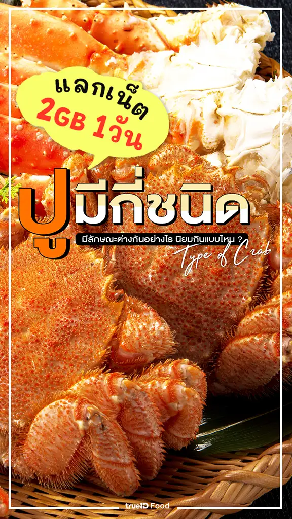 แลกเน็ต 2GB 1 วัน เช็กลิสต์ ปูมีกี่ชนิด เอามาทำเมนูอะไรอร่อย
