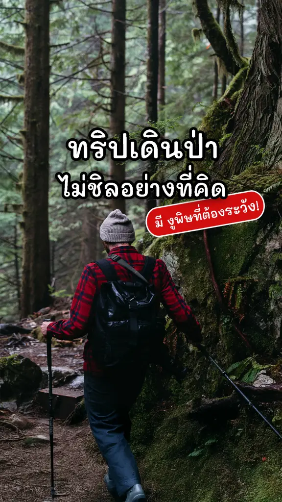 ทริปเดินป่า ไม่ชิลอย่างที่คิด 7 งูพิษที่ต้องระวัง!