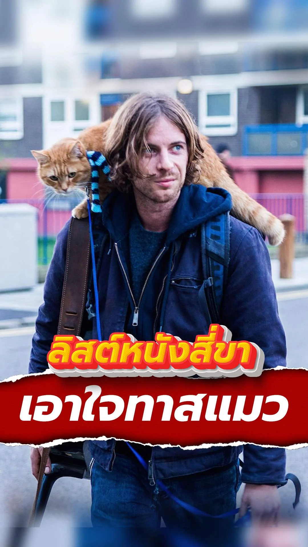 เพลย์ลิสต์หนังสี่ขา เอาใจทาสแมว