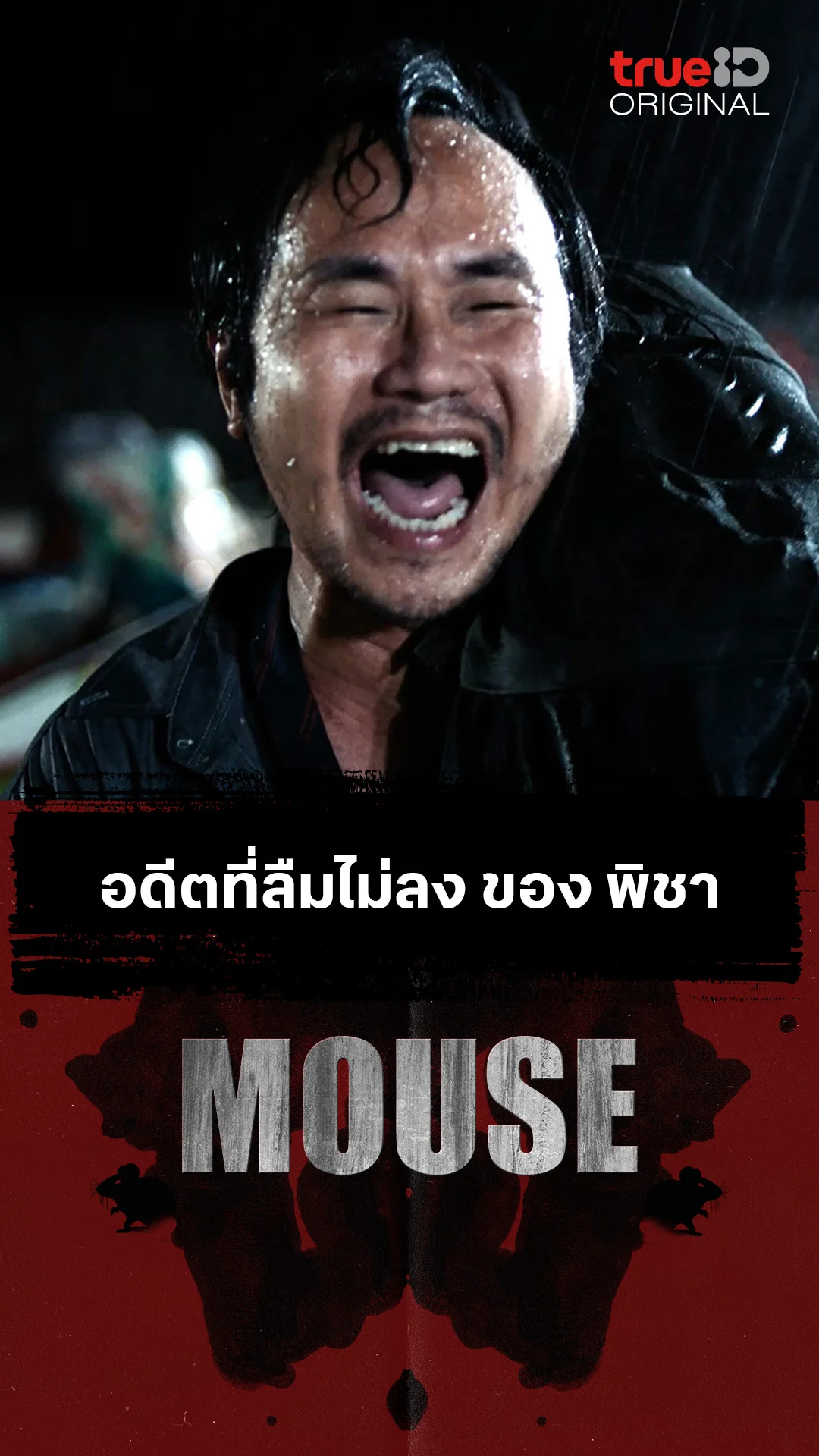 อดีตที่ลืมไม่ลง ของ พิชา
