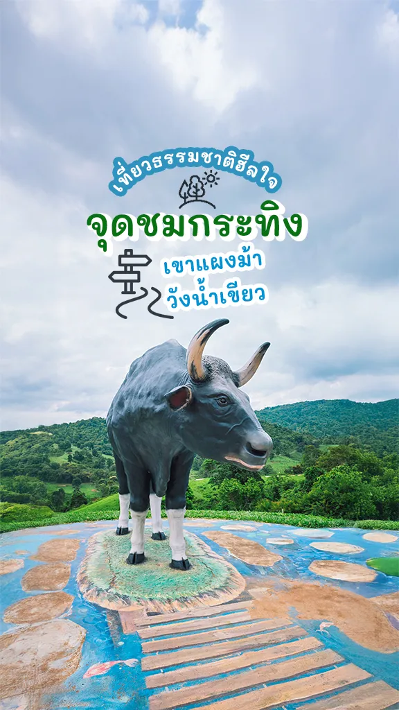 เที่ยววังน้ำเขียว ไปส่องกระทิง เขาแผงม้า กลางป่าใหญ่