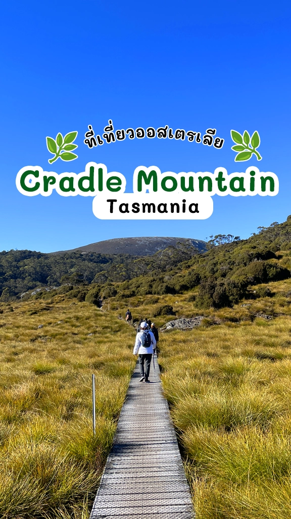 เที่ยวออสเตรเลีย Cradle Mountain มรดกโลกทางธรรมชาติ