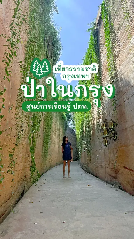 เที่ยวธรรมชาติในกรุงเทพ ป่าในกรุง ปตท. พื้นที่สีเขียว