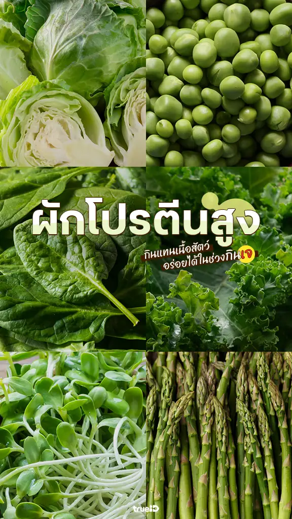 ผักอะไรโปรตีนสูง กินแทนเนื้อสัตว์ได้บ้าง ในช่วงกินเจ