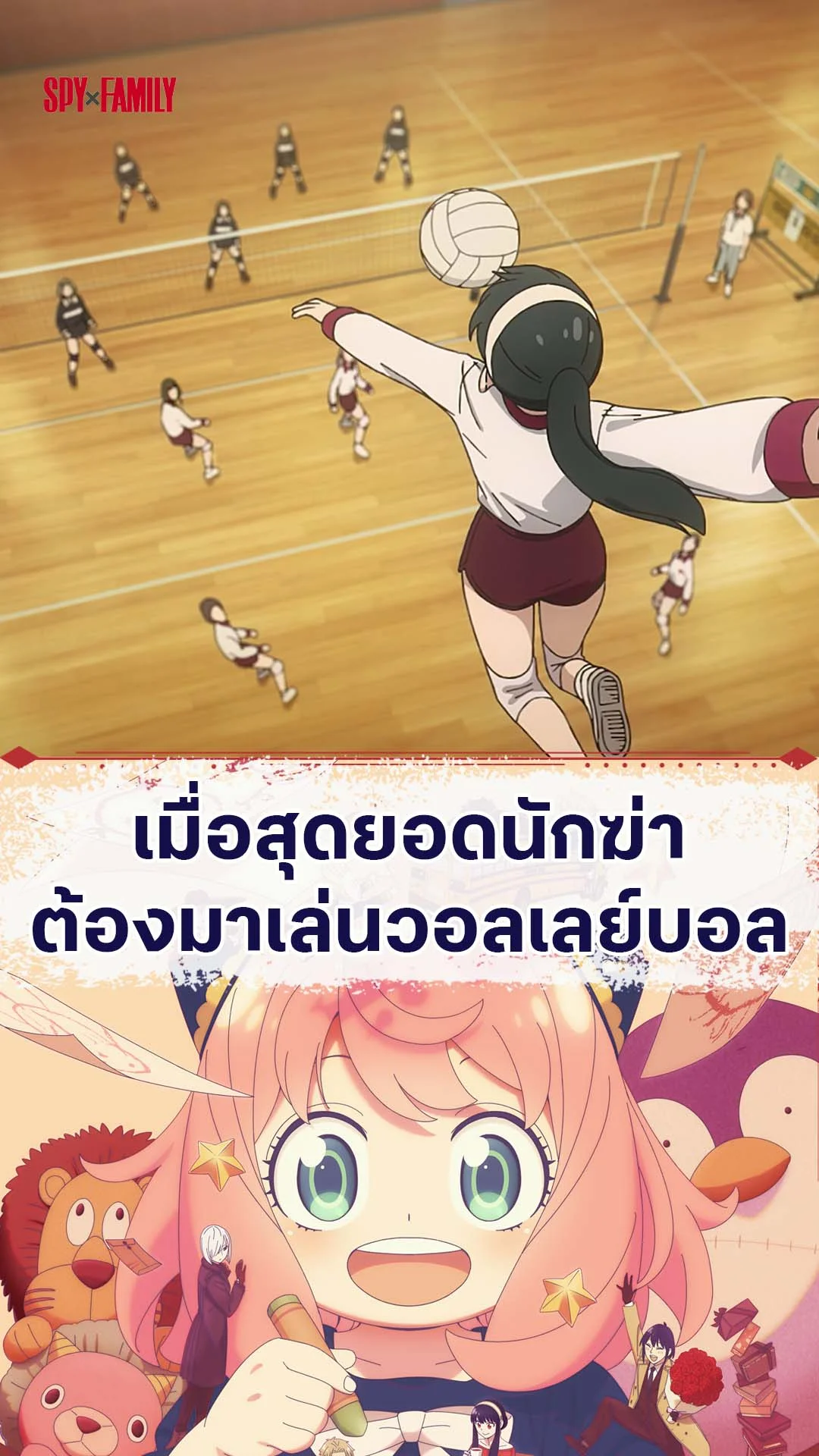 สปายแฟมิลี่ ซีซัน 3 EP.42 : นักฆ่ากับกีฬาวอลเลย์บอล