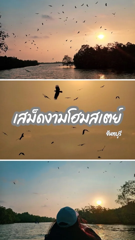 แนะนำที่พักจันทบุรี เสม็ดงามโฮมสเตย์ ดูเหยี่ยวแดงนับร้อยตัว