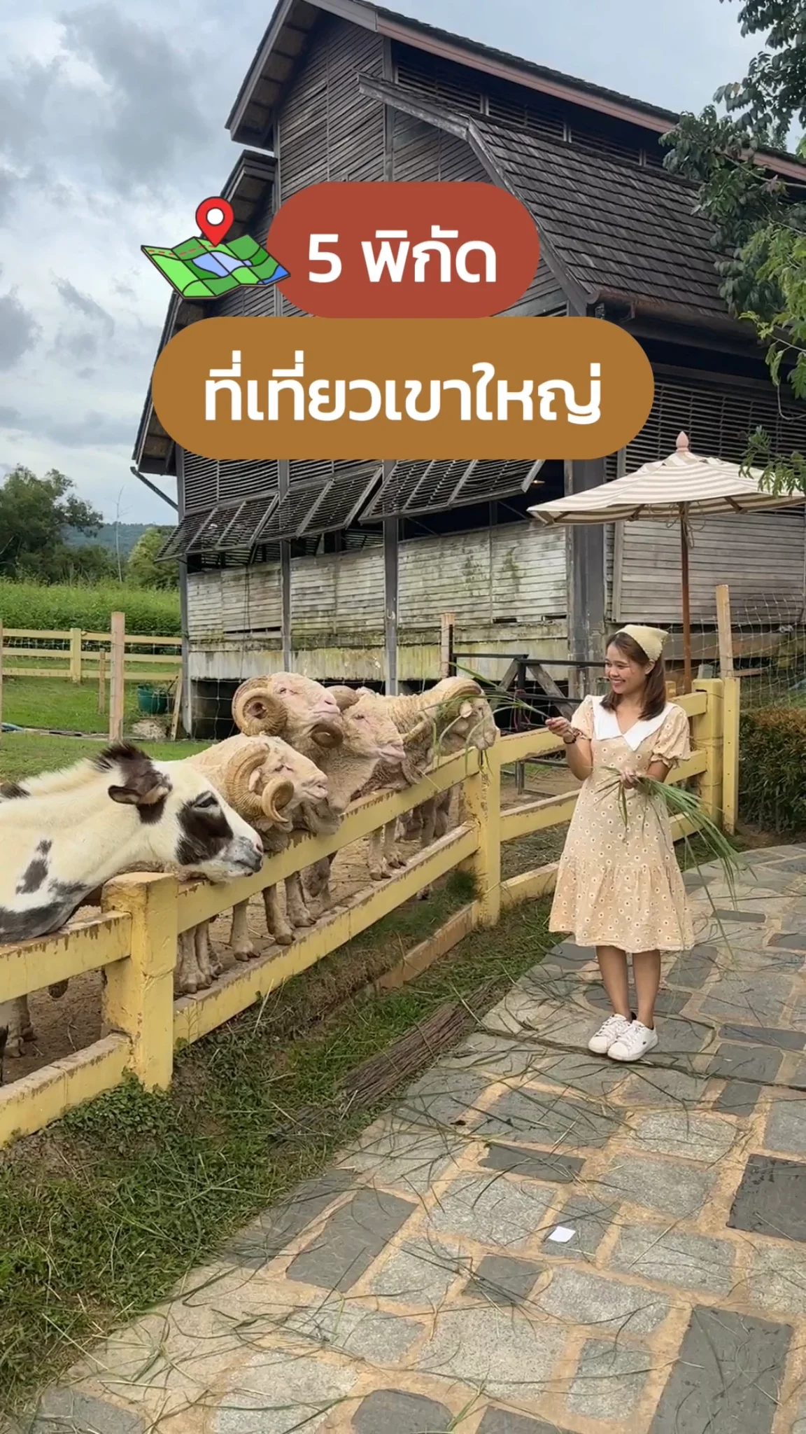 แจกพิกัด 5 เที่ยวเขาใหญ่ คาเฟ่ ร้านอาหาร บรรยากาศดี มุมถ่ายปัง