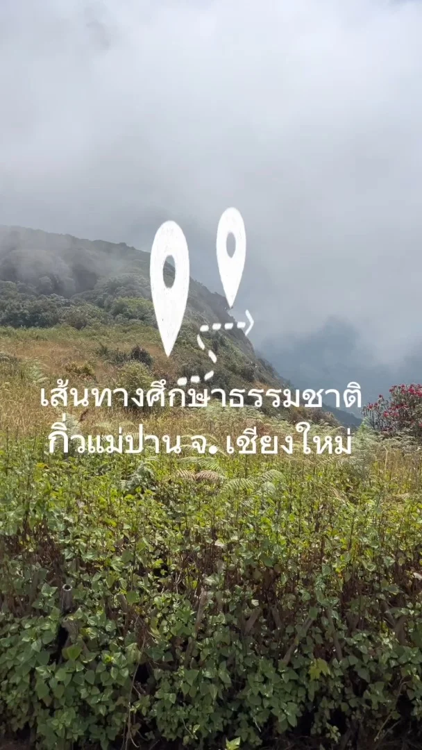 เส้นทางศึกษาธรรมชาติ กิ่วแม่ปาน จ.เชียงใหม่