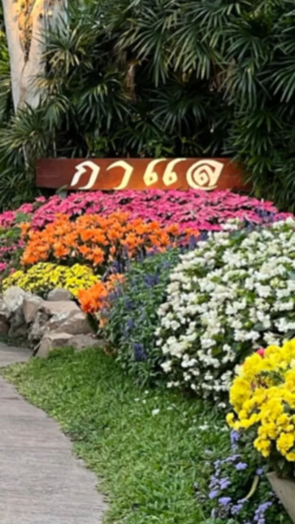 รีวิว ห้องอาหารกาแล วิวเมือง ริมน้ำ ในทุ่งดอกไม้ จ.เชียงใหม่