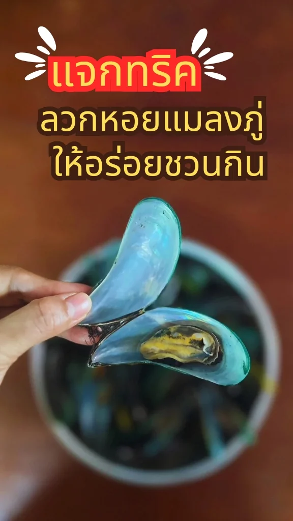 แจกทริค ลวกหอยแมลงภู่ ให้หอมอร่อยชวนกิน