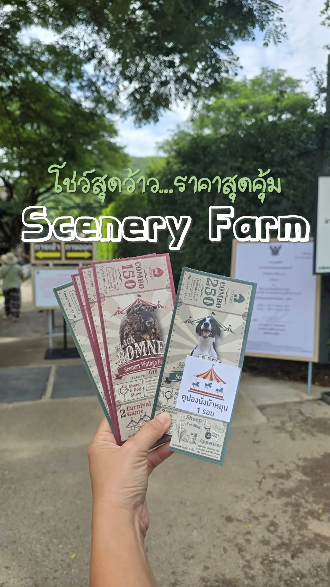 เที่ยวฟาร์มแกะที่ Scenery Farm ราชบุรี สนุกสุดคุ้ม มุมถ่ายรูปเพียบ