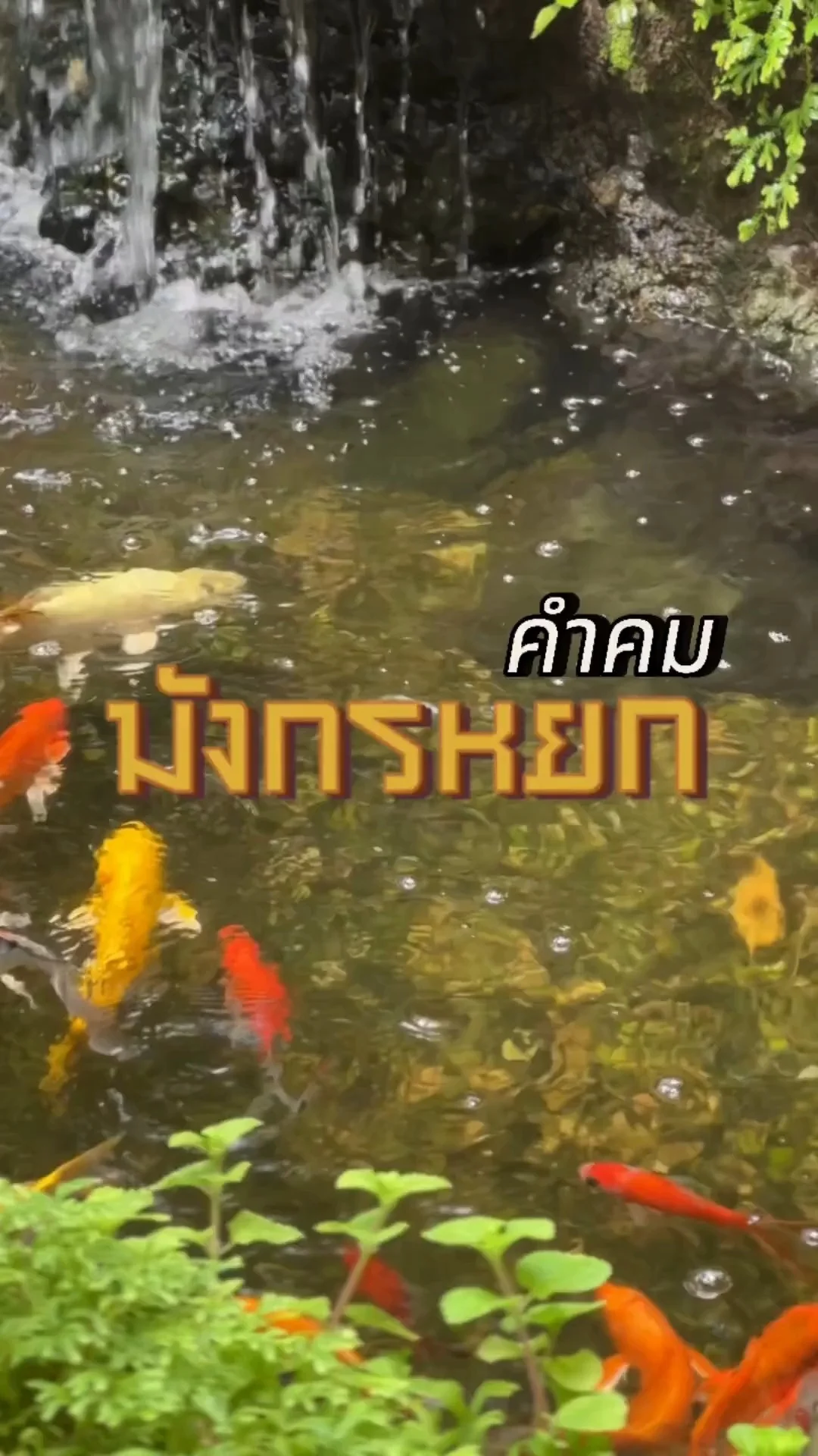 คำคมมังกรหยก -  อึ้งย้ง2 มังกรหยก 2024 The Legend of Heroes Hot Blood