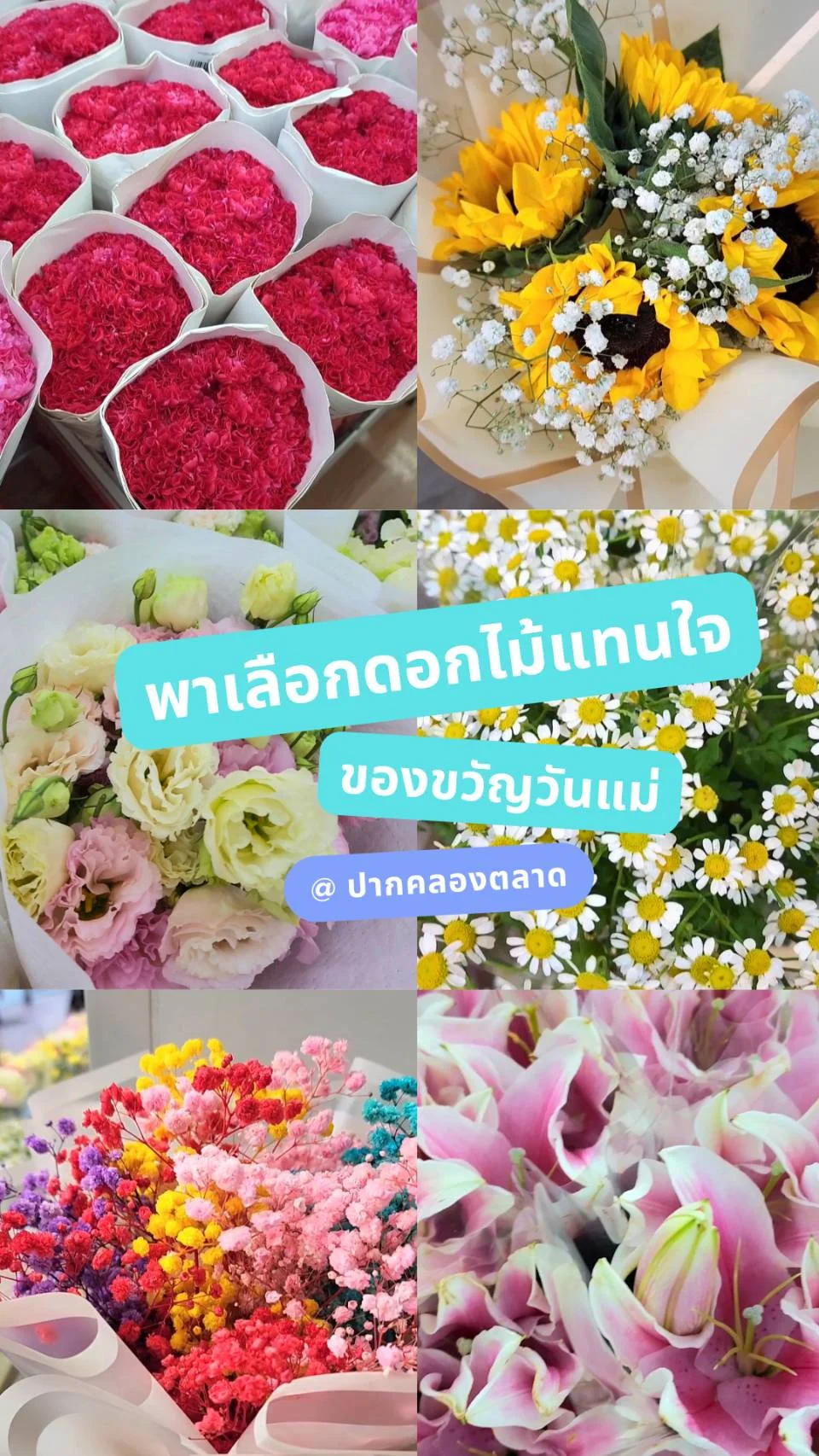 พาเลือกดอกไม้แทนใจ สื่อความรัก เป็นของขวัญวันแม่ ที่ปากคลองตลาด