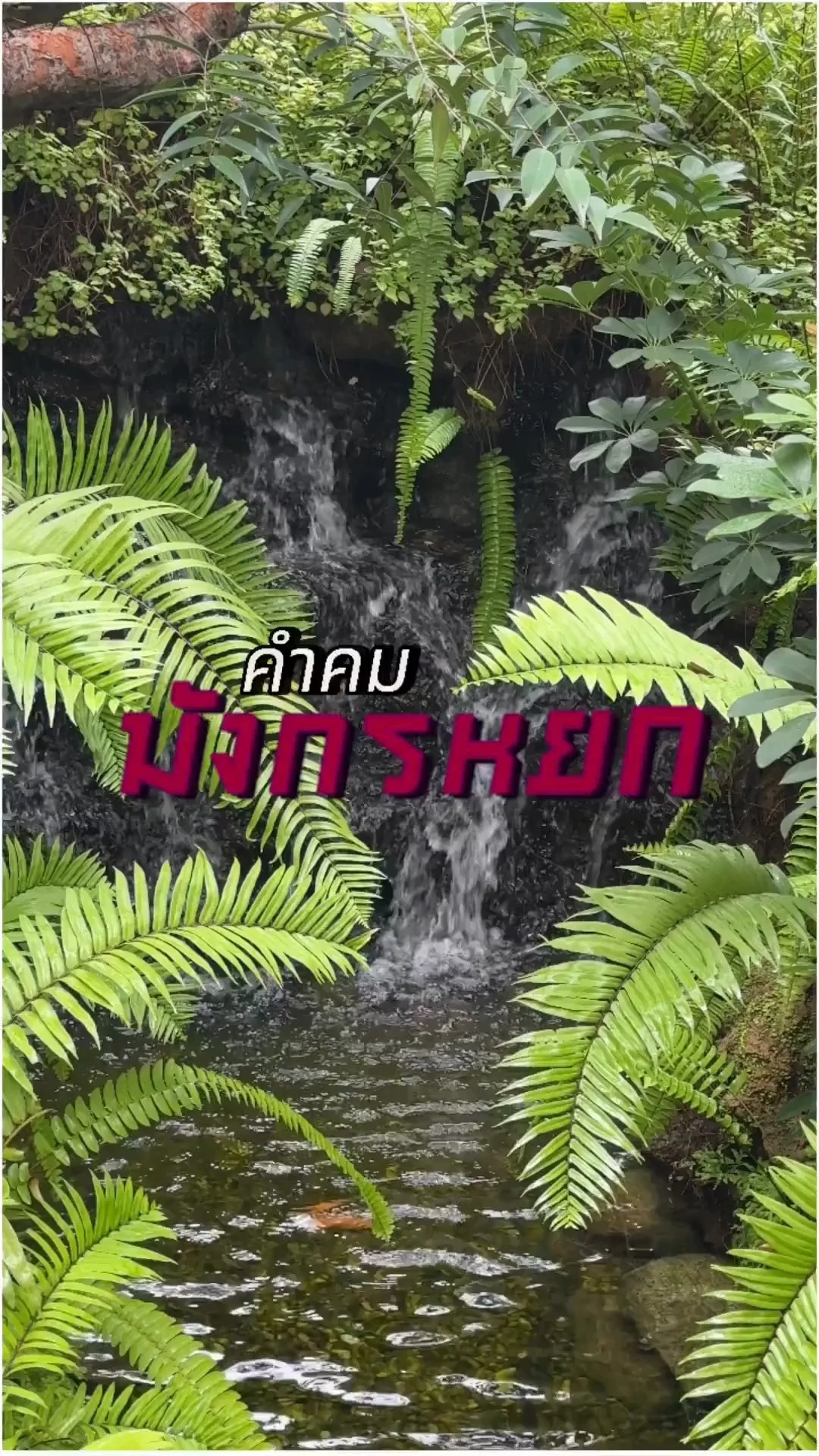 คำคมมังกรหยก - ก๊วยเจ๋ง2 มังกรหยก 2024 The Legend of Heroes Hot Blood