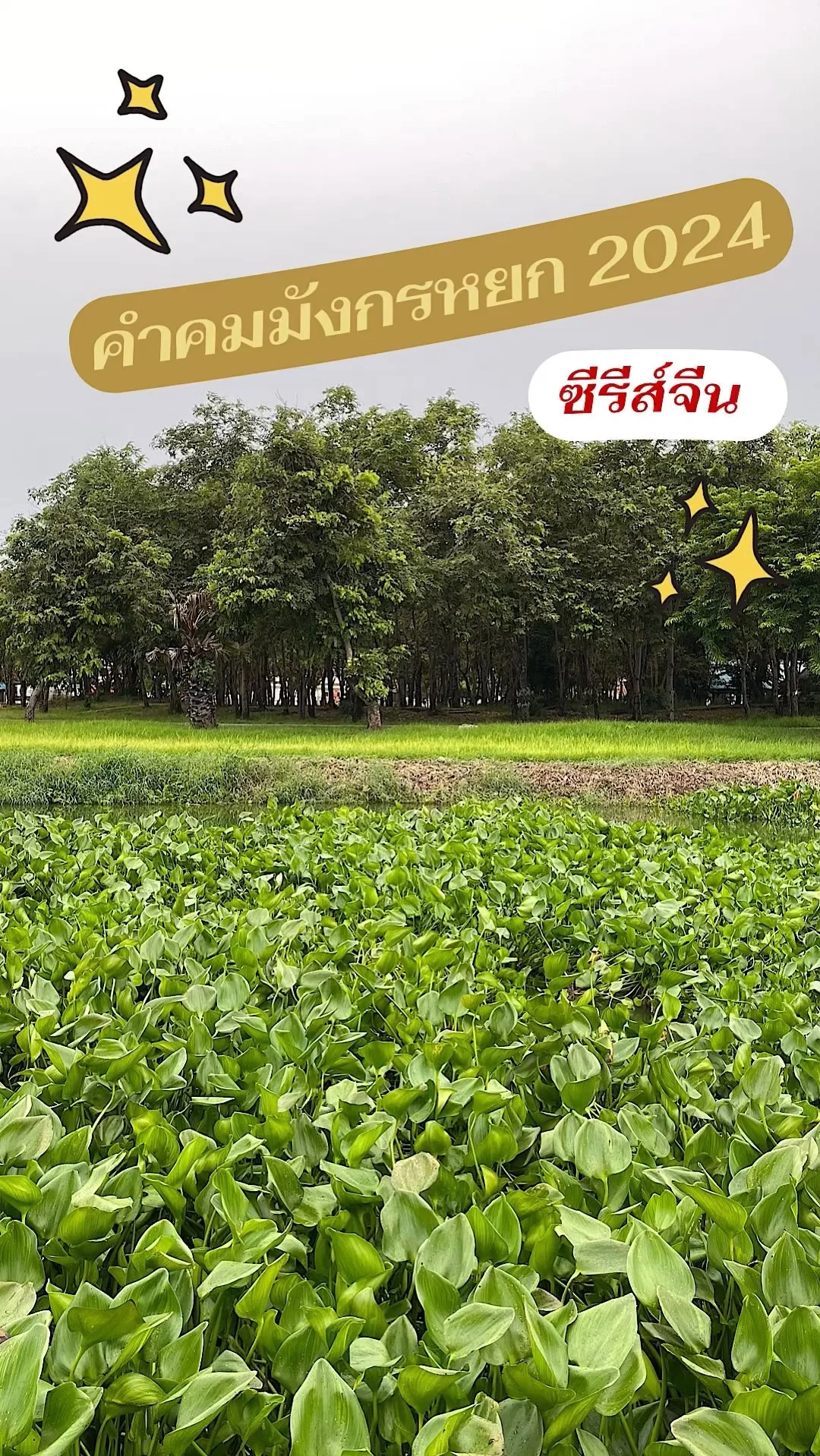 วาทะคำคมจาก ซีรีส์จีนเรื่องมังกรหยก 2024