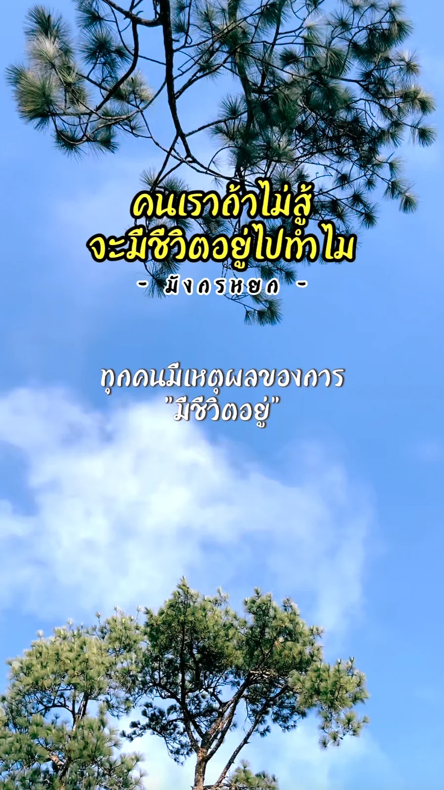 คำคม จากซีรีส์มังกรหยก 2024 The Legend of Heroes Hot Blood
