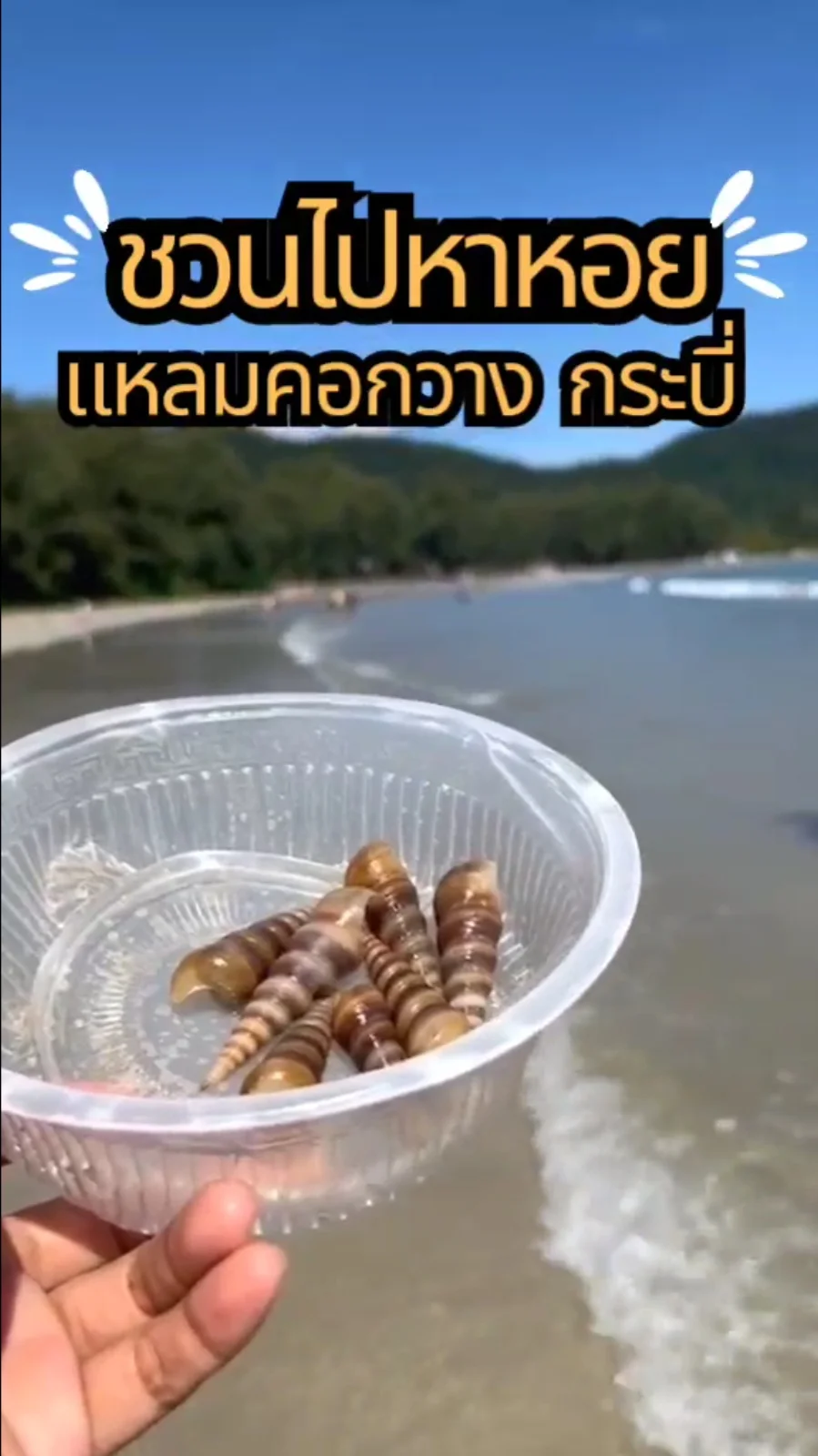 พาเที่ยวหาหอยกันที่ แหลมคอกวาง เกาะลันตา กระบี่