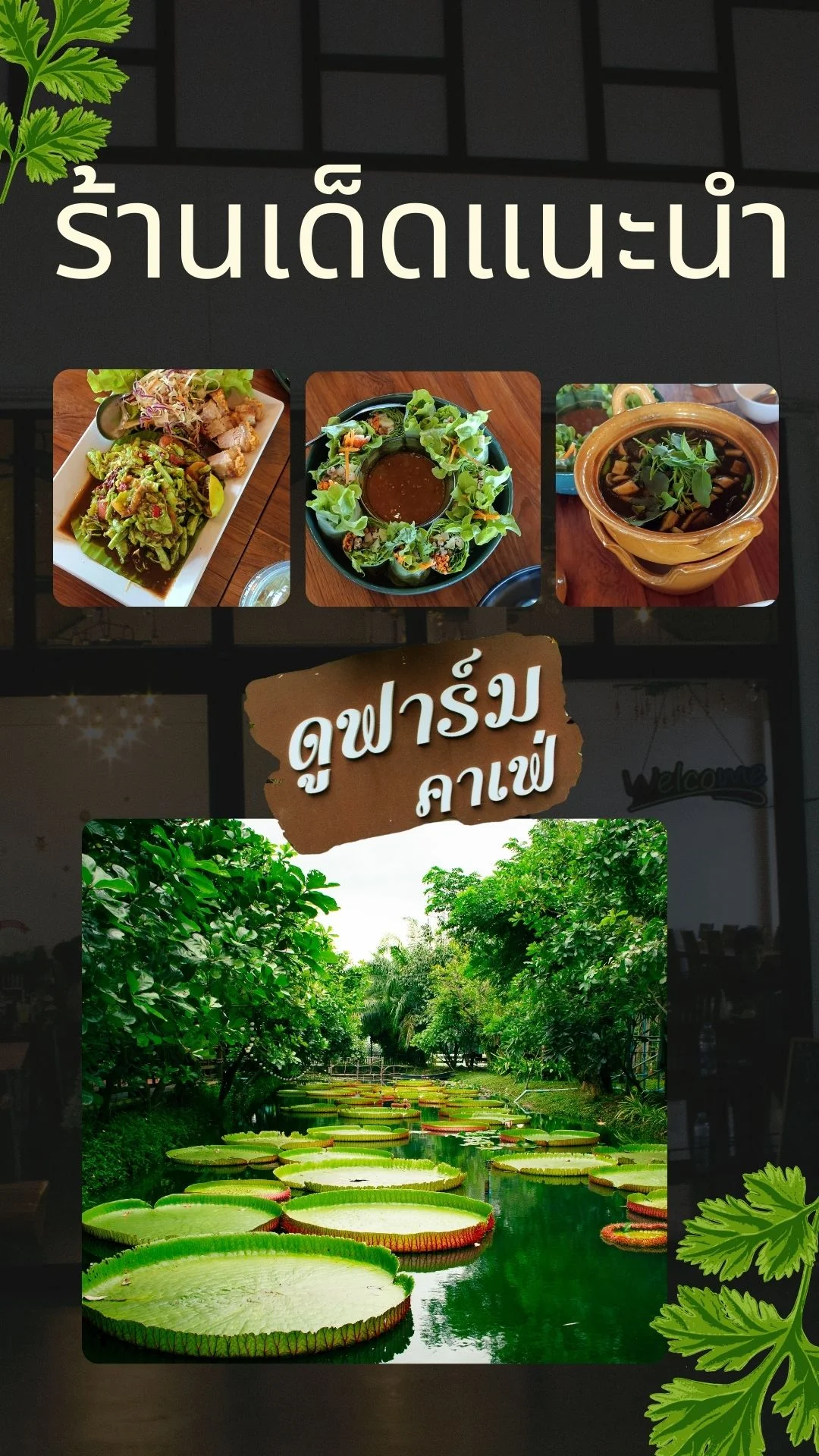 พาดูบัว ที่ ดูฟาร์ม คาเฟ่ Do Farm cafe ขอนแก่น ร้านอาหารอร่อยรสเด็ด
