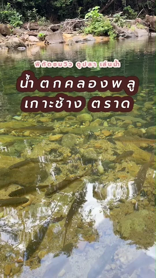 พิกัดชมวิว ดูปลา เล่นน้ำ ที่น้ำตกคลองพลู เกาะช้าง จ.ตราด