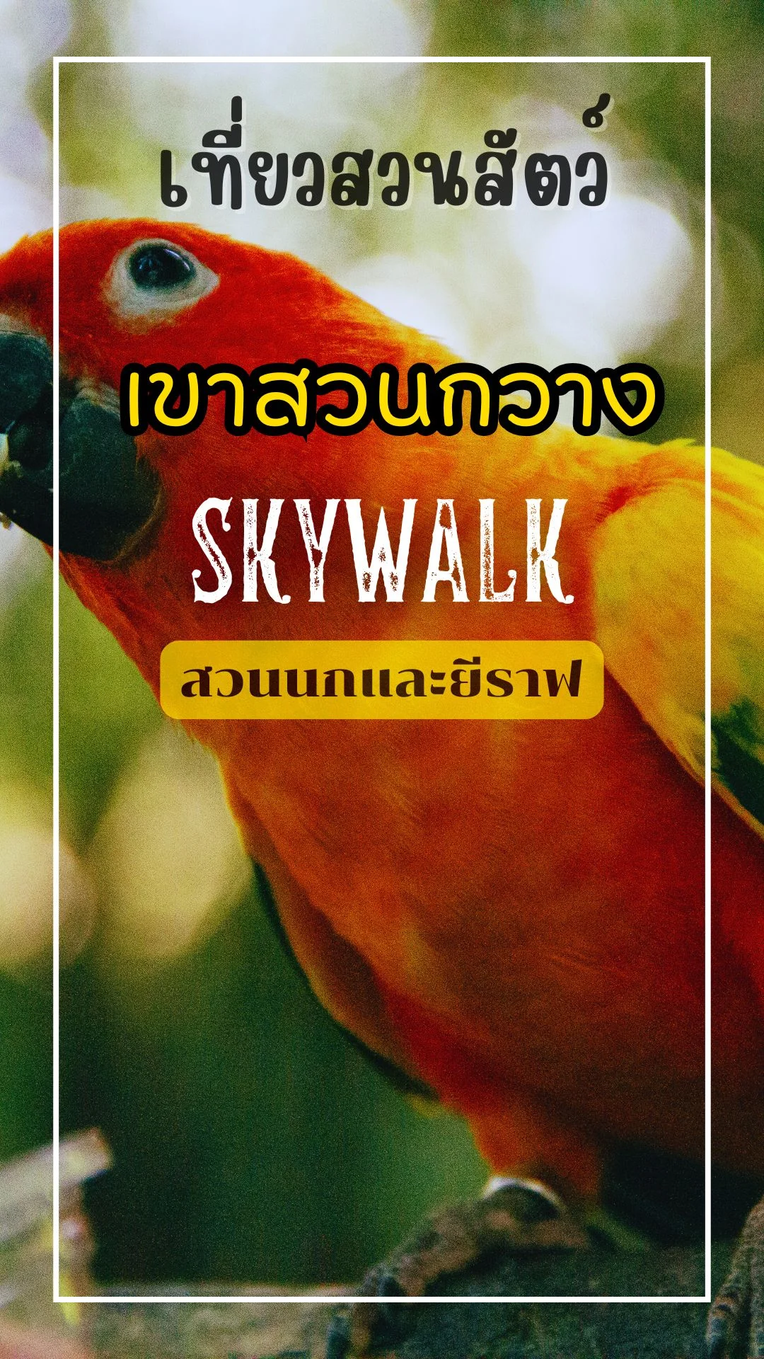 พาเที่ยวสวนสัตว์เขาสวนกวาง ขอนแก่น ดูสัตว์น่ารัก เดินเล่น SKYWALK
