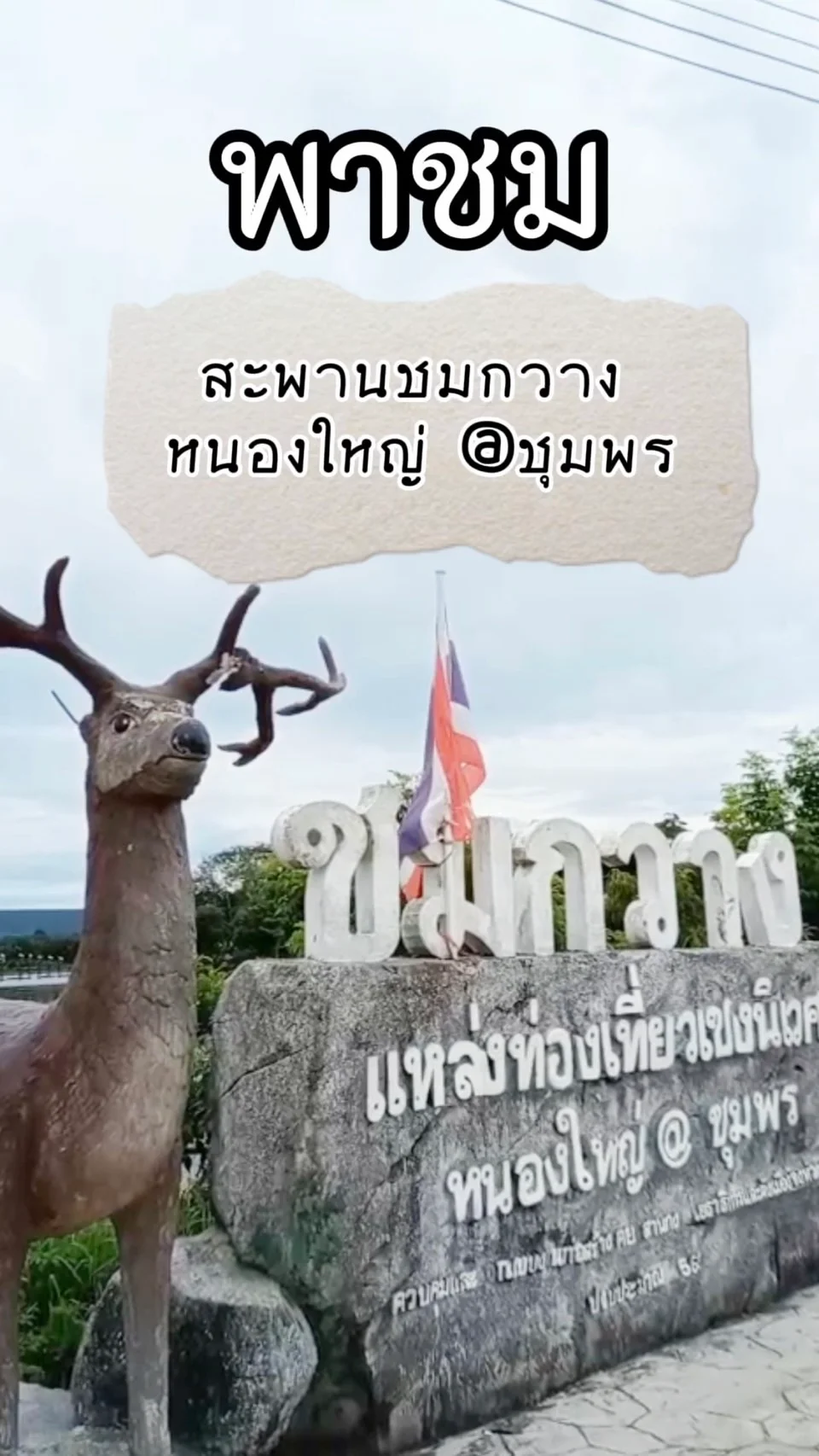 พาชมสะพานชมกวางหนองใหญ่ @ชุมพร